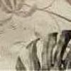 Ape_-_interactivo_cersaie2020_compressed_Seite_10_Bild_0015